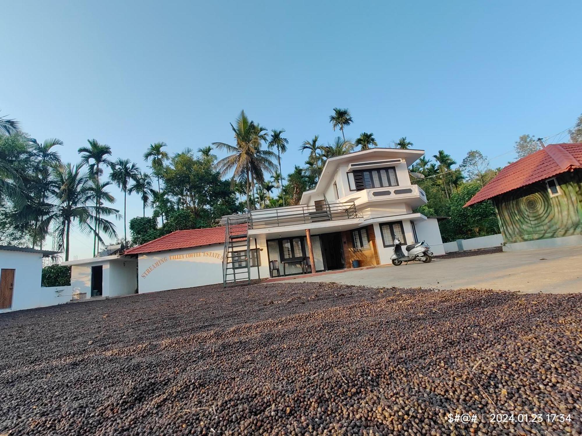Streaming Valley Independent Coffee Estate Stay Madikeri Luaran gambar