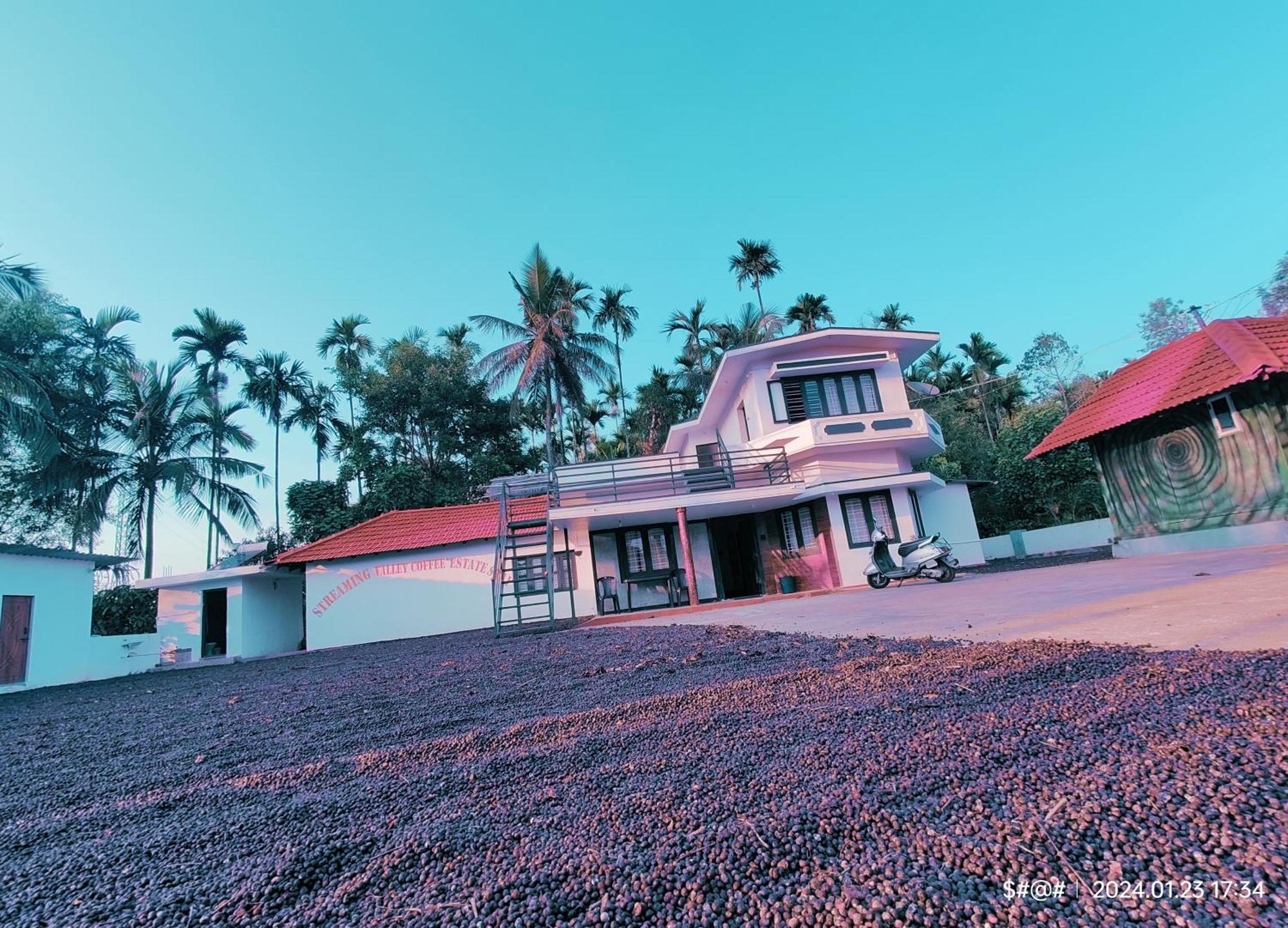 Streaming Valley Independent Coffee Estate Stay Madikeri Luaran gambar